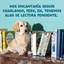 150 g Edgard & Cooper Senior Grain Free Pollo sobre para perros, , large indicador imagen numero 11